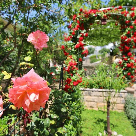 アパート Andjelka-7 By Interhome *