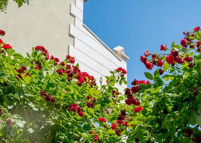 Andjelka-7 By Interhome Lägenhet Trogir