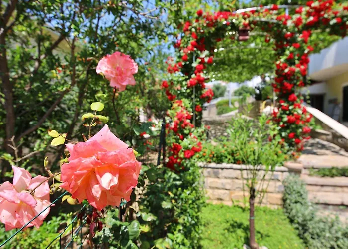 Lägenhet Andjelka-7 By Interhome *