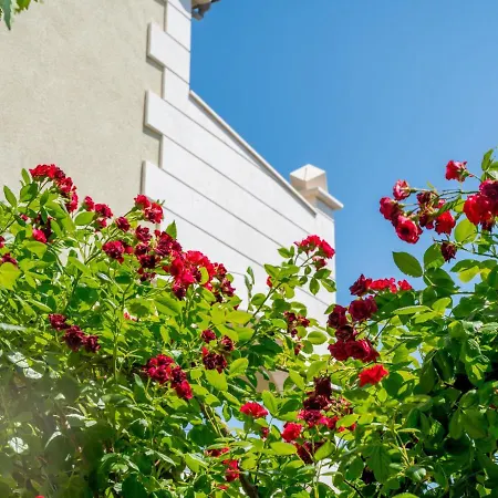 Andjelka-7 By Interhome Apartman Trogir